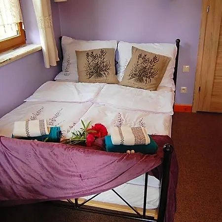 Bed & Breakfast Goscinne Pod Ciupaga 3*